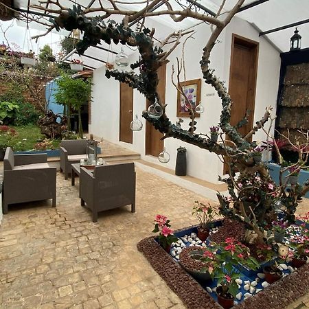 Hotel Boutique Amorini San Cristóbal de Las Casas Exteriör bild